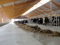 /album/vrijloopstal-vennenberg/dsc03716-jpg/