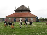 /album/bedrijfsruimte-lemelerveld1/img-1964-jpg/